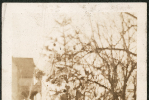 Girl with doll and cat (ddr-densho-293-56)