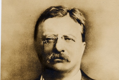 Theodore Roosevelt (ddr-njpa-1-1677)