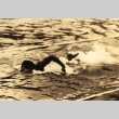 Shozo Makino swimming (ddr-njpa-4-1004)