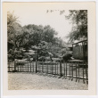 Fenced garden (ddr-densho-377-2253)