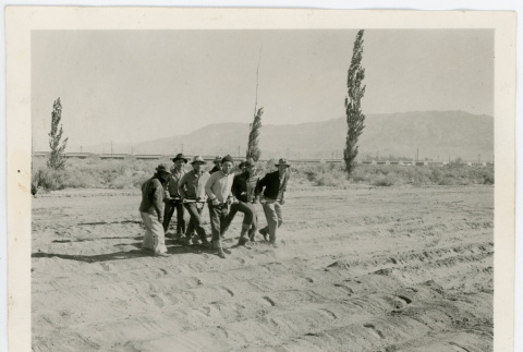 Photograph of a group of men tilling a Manzanar farm with the Alabama Hills in the background (ddr-csujad-47-56)