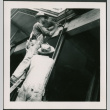 Man on ladder hammering (ddr-densho-426-2265)