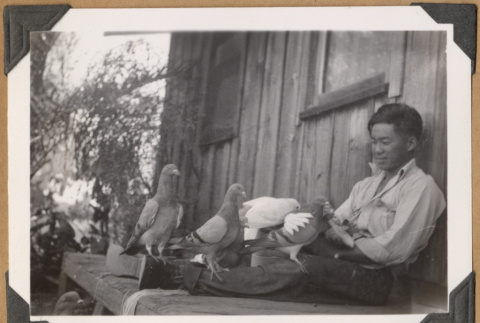 Man with pigeons (ddr-densho-542-50)