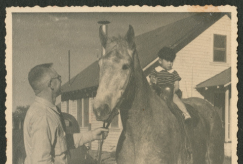 What a horse!! (ddr-densho-378-983)