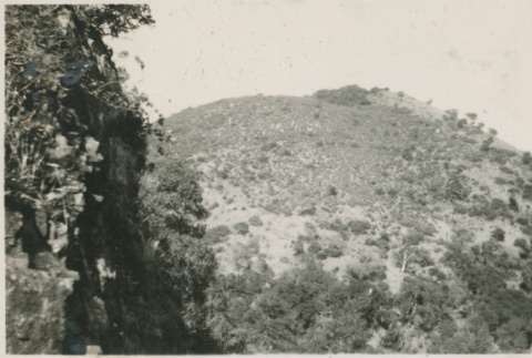 Photograph: View from Green Valley Falls (ddr-densho-357-193-mezzanine-219bdc8763)