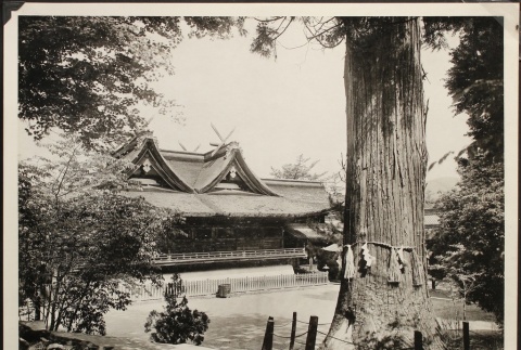Kibitsu Shrine in Japan (ddr-densho-259-545)