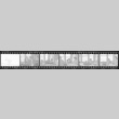 Negative film strip for Farewell to Manzanar scene stills (ddr-densho-317-218)