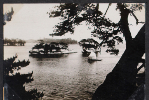 Tree with islands in background (ddr-densho-468-408)