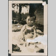 Baby sitting on blanket outside (ddr-densho-483-593)