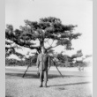 Tom Kubota in uniform in an orchard of pines (ddr-densho-354-595)