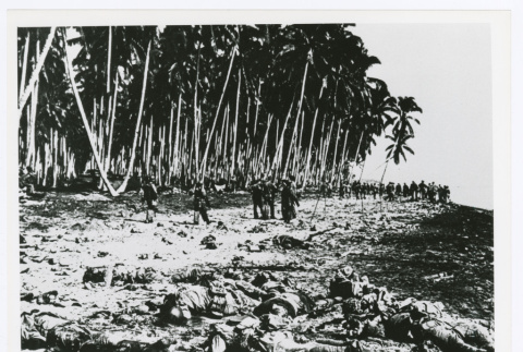 Tenaru River during Guadalcanal campaign (ddr-densho-1007-80)
