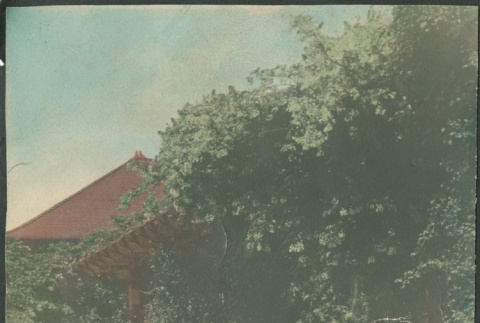 Woman watering flowers (ddr-densho-523-23)
