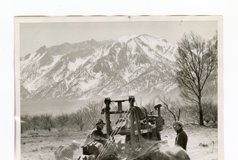 Laying water line at Manzanar (ddr-csujad-52-24)