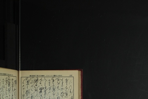 Page 229 (ddr-densho-255-3-master-b18a86ec4b)