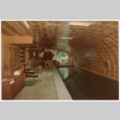 Kaneji at indoor lap pool (ddr-densho-377-2516)