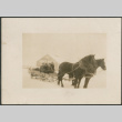 Group on horse drawn sleigh (ddr-densho-316-217)