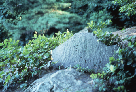 Rocks with carved Japanese characters in the Garden (ddr-densho-354-909)