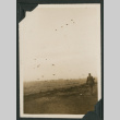 Paratroopers landing (ddr-densho-397-186)
