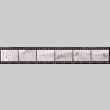 Negative film strip for Farewell to Manzanar scene stills (ddr-densho-317-67)