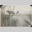 Horse and buggy (ddr-densho-357-35)