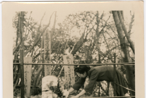 Tomoye Nozawa laying flowers on grave (ddr-densho-423-477)