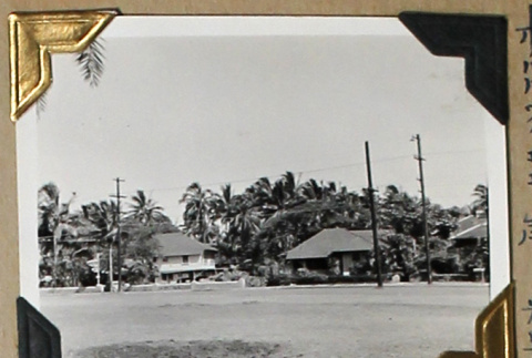 Two buildings among palm trees (ddr-densho-404-317)