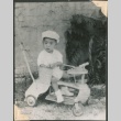 A toddler sitting in a push bike (ddr-densho-328-39)