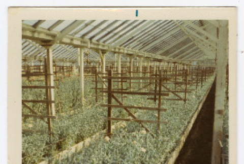 Photograph (ddr-densho-433-563-mezzanine-3040e29fde)