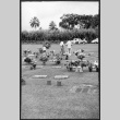 Veterans Cemetery (ddr-densho-363-232)
