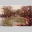 Pond with rock feature (ddr-densho-377-2291)