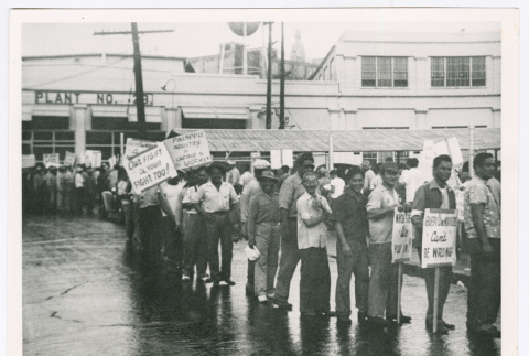 ILWU picket line at a pineapple cannery (ddr-densho-1007-323)