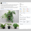 Facebook post for Spring Plant Sale 2020 (ddr-densho-354-2783)