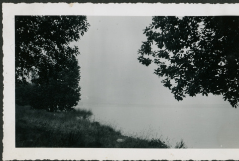 Foggy river with bridge (ddr-densho-359-1017)