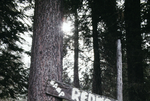 Camp Redwood sign (ddr-densho-336-1734)