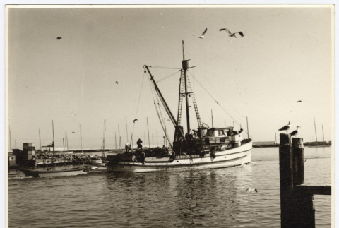 View of a fishing boat (ddr-densho-542-845)