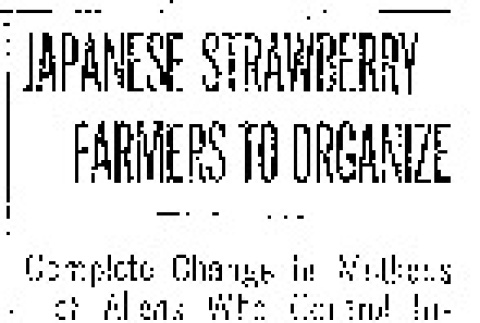 Japanese Strawberry Farmers to Organize. Complete Change in Methods of Aliens Who Control Industry on Vashon Island Result of Bad Season. J.P. Powles Chosen as Association Manager. (August 19, 1912) (ddr-densho-56-215)