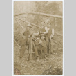 Postcard photograph of four men with rifles (ddr-densho-383-428)