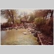 Rock feature bordering pond (ddr-densho-377-2303)