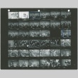 Scene stills from the Farewell to Manzanar film (ddr-densho-317-25)
