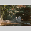 Rock feature in pond (ddr-densho-377-1954)