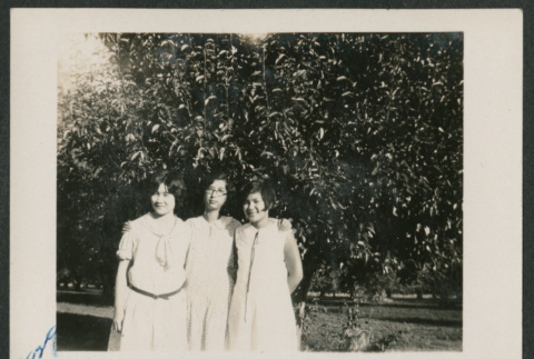 three women standing under a tree (ddr-densho-378-622)