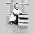 Boy standing by a crate (ddr-densho-18-73)
