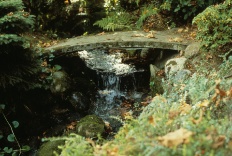 Small bridge between 4th and 5th Ponds (ddr-densho-354-2663)