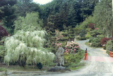 Heart Bridge in the Kubota Garden (ddr-densho-354-475)