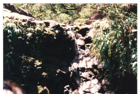 Young woman looking at waterfall (ddr-densho-368-312)
