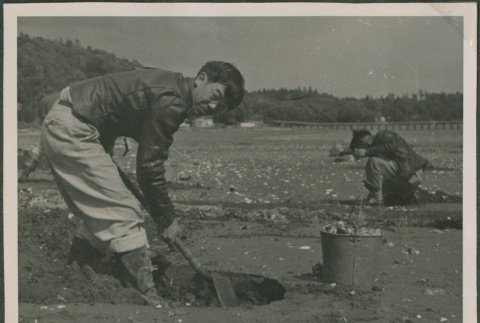 Two men digging clams (ddr-densho-201-908)