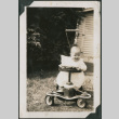 Baby in carriage (ddr-densho-355-514)