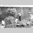 Japanese Americans gardening (ddr-densho-39-46)