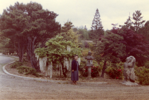 Ko Kubota standing by the stone lantern and wisteria by the Heart Bridge (ddr-densho-354-1489)