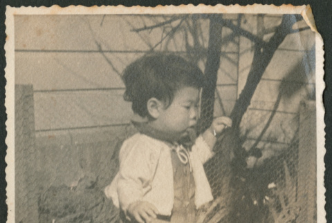 Early Steps of Bobby (ddr-densho-378-1010)